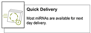 plasmid-miRNA-4