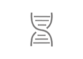 CRISPR Cas9 cloning-01