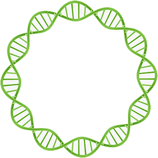 AAV plasmid, Adenovirus plasmid, and Lentivirus Plasmid Products