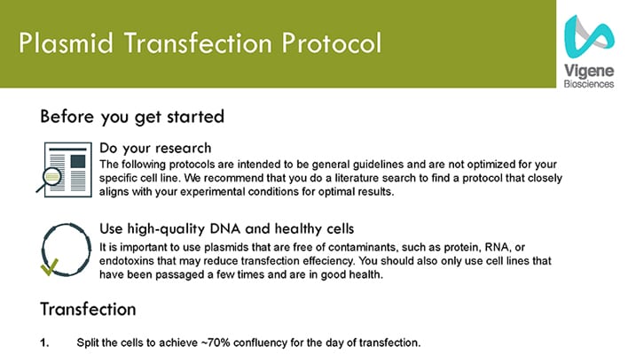 Plasmid-Protocol
