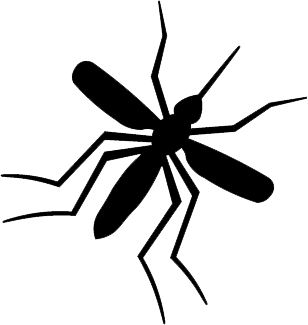 AAV Zika Virus DNA ORFs