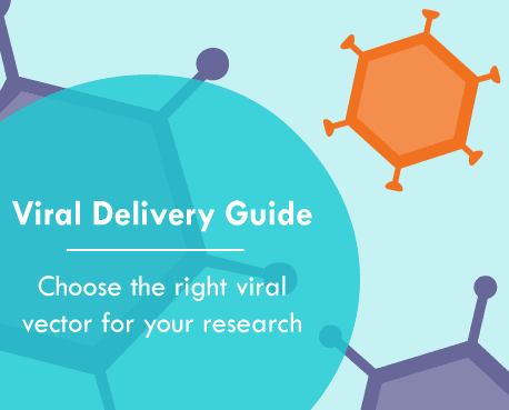 Viral Delivery Guide Revised