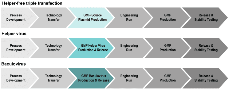 GMP-AAV-Production-Gene-Therapy-Workflow