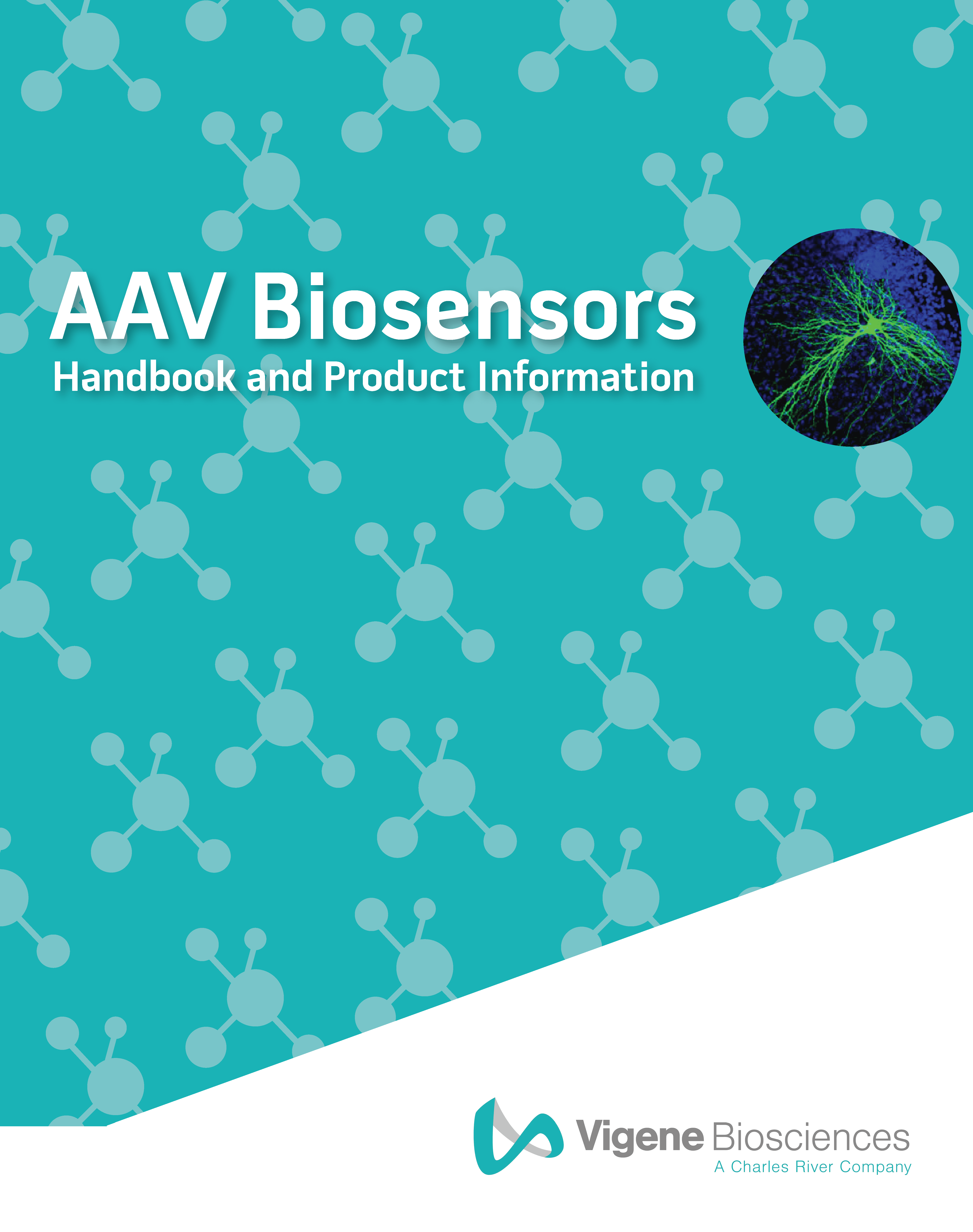 Biosensor-Book cover